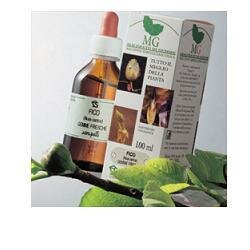 QUERCIA 100ML MG-1