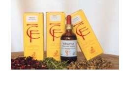 Cento Fiori Fico di Gemme macerato glicerico 100ml-2