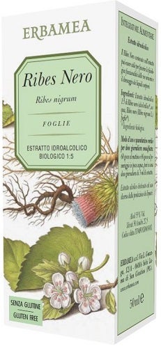 Erbamea Ribes Nero 50ml-1