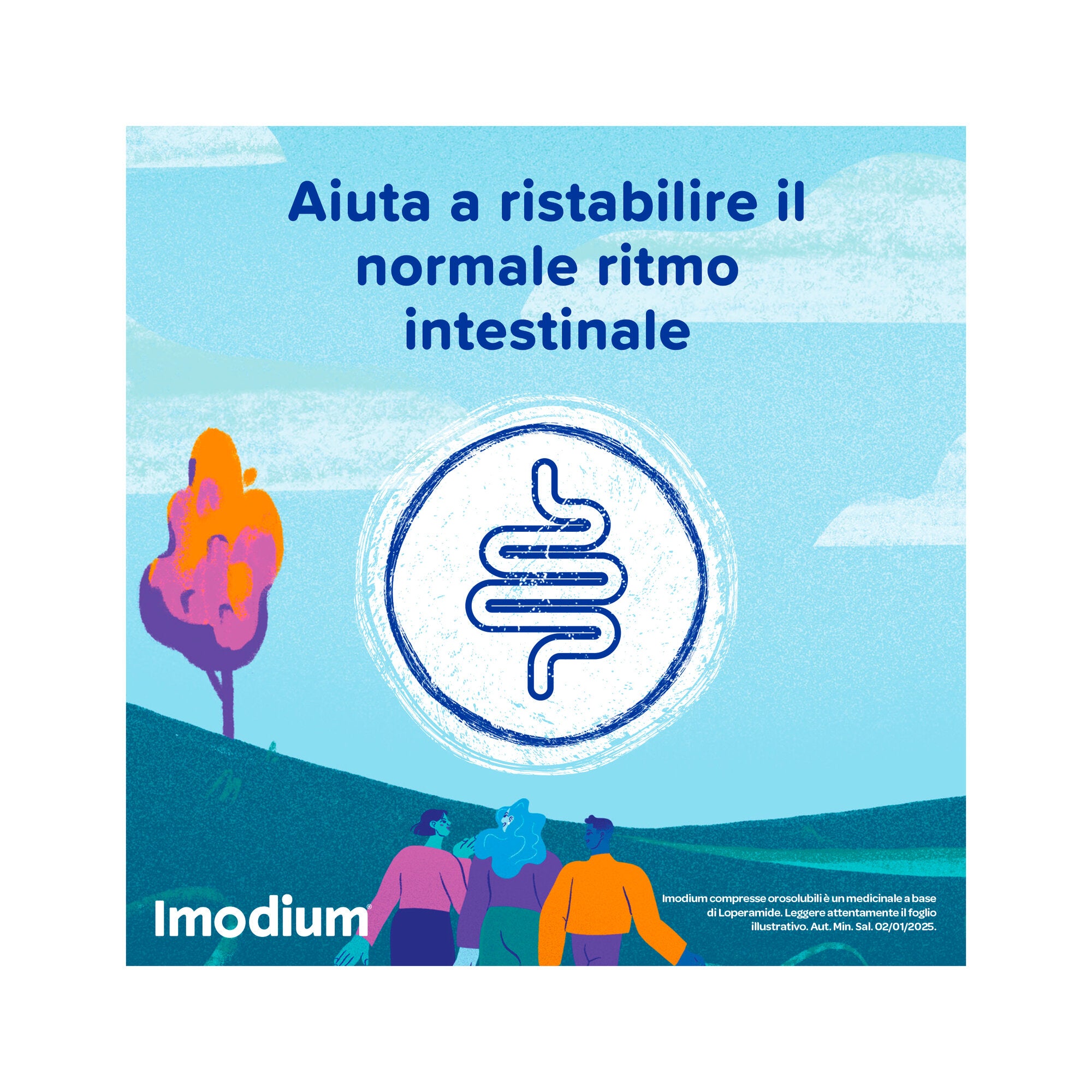 Imodium Diarrea Acuta 12 Compresse Orosolubili-3