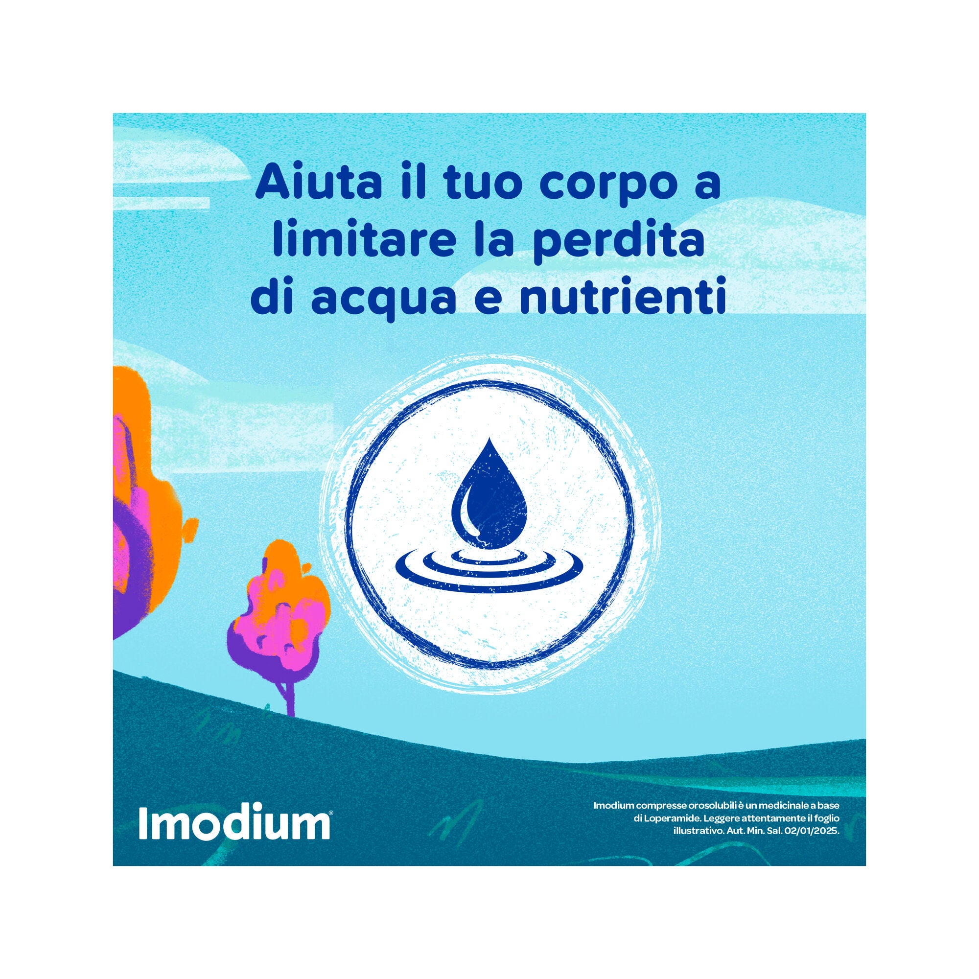 Imodium Diarrea Acuta 12 Compresse Orosolubili-4