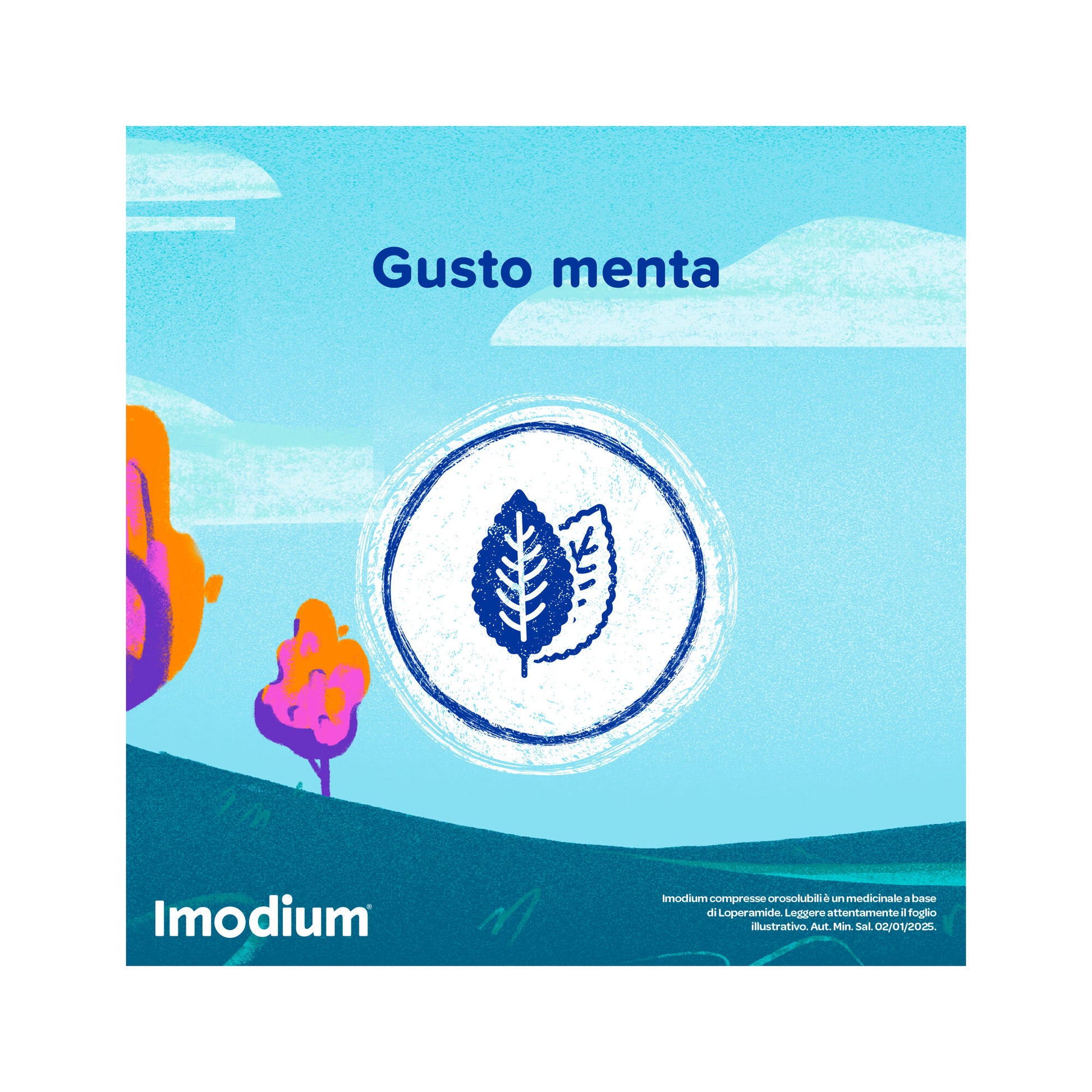 Imodium Diarrea Acuta 12 Compresse Orosolubili-6
