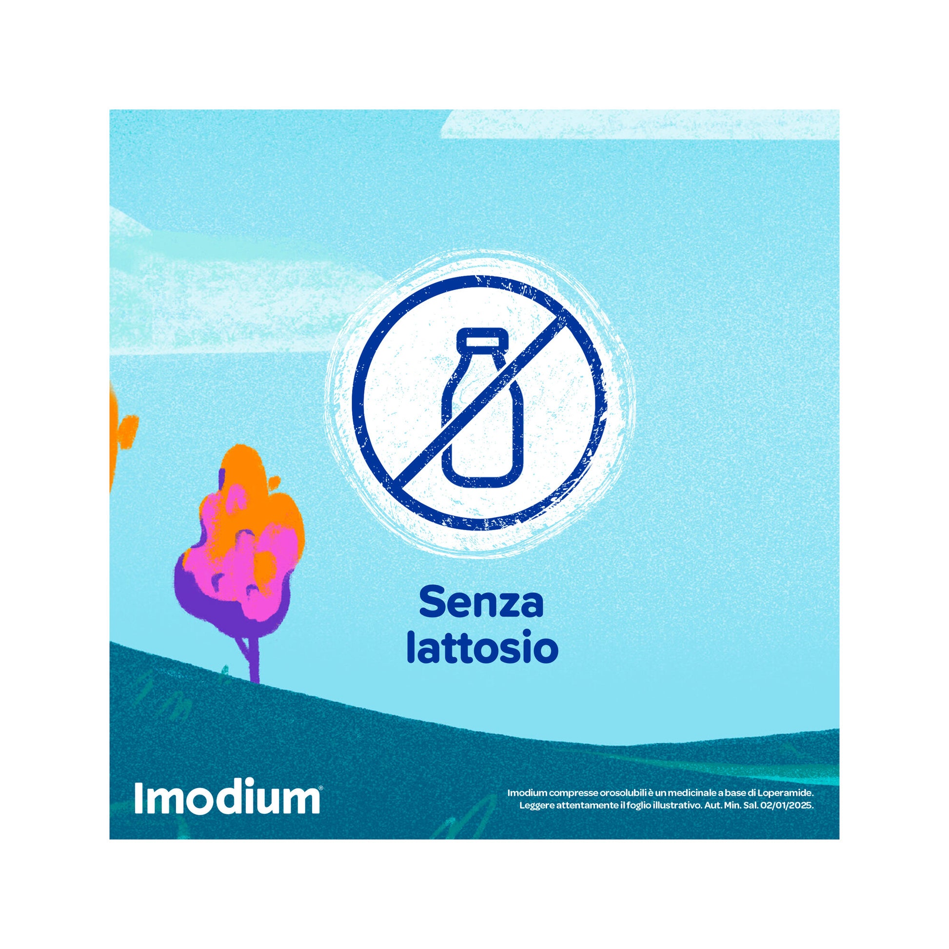 Imodium Diarrea Acuta 12 Compresse Orosolubili-8