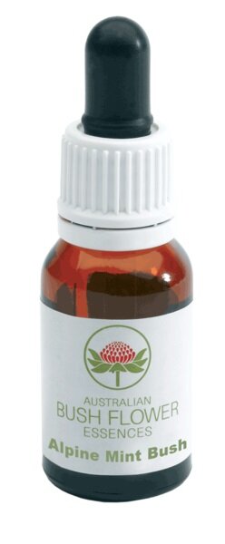 Australian Alpine Mint Bush 15ml-1