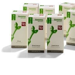 KIWI 200ML MG-1