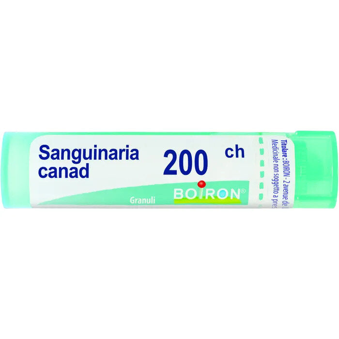 Boiron Sanguinaria Canad 200CH medicinale omeopatico 4g-2