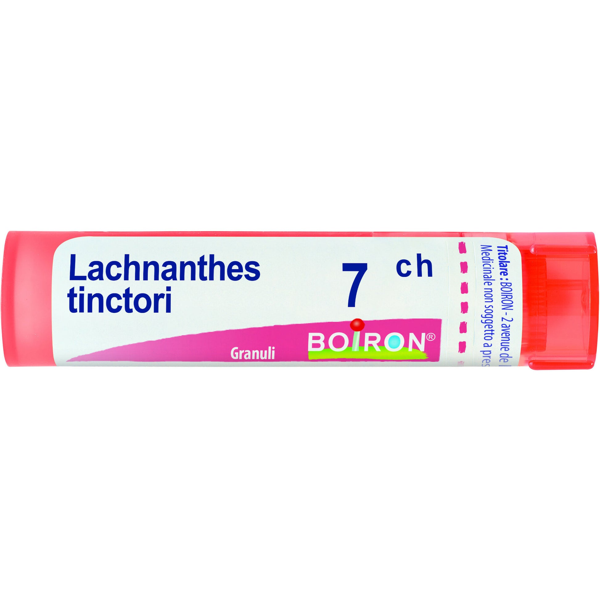 Boiron Lachnanthes Tinctoria 7Ch Tubo 80 Granuli-2