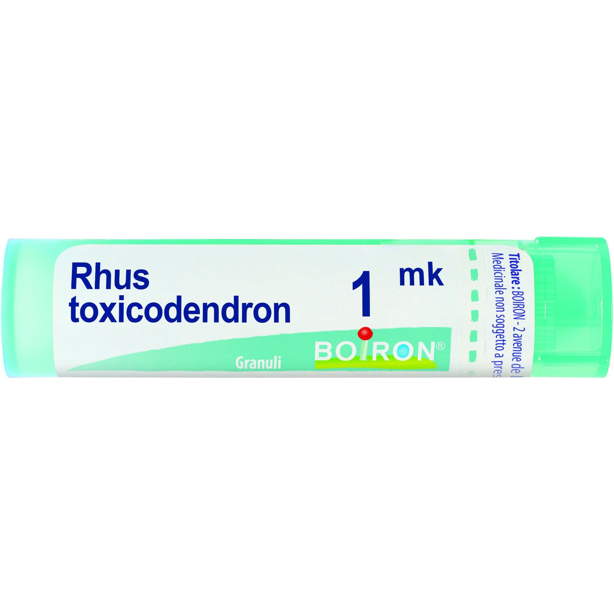 Boiron Rhus Toxicodendron 1Mk Tubo 80 Granuli-1