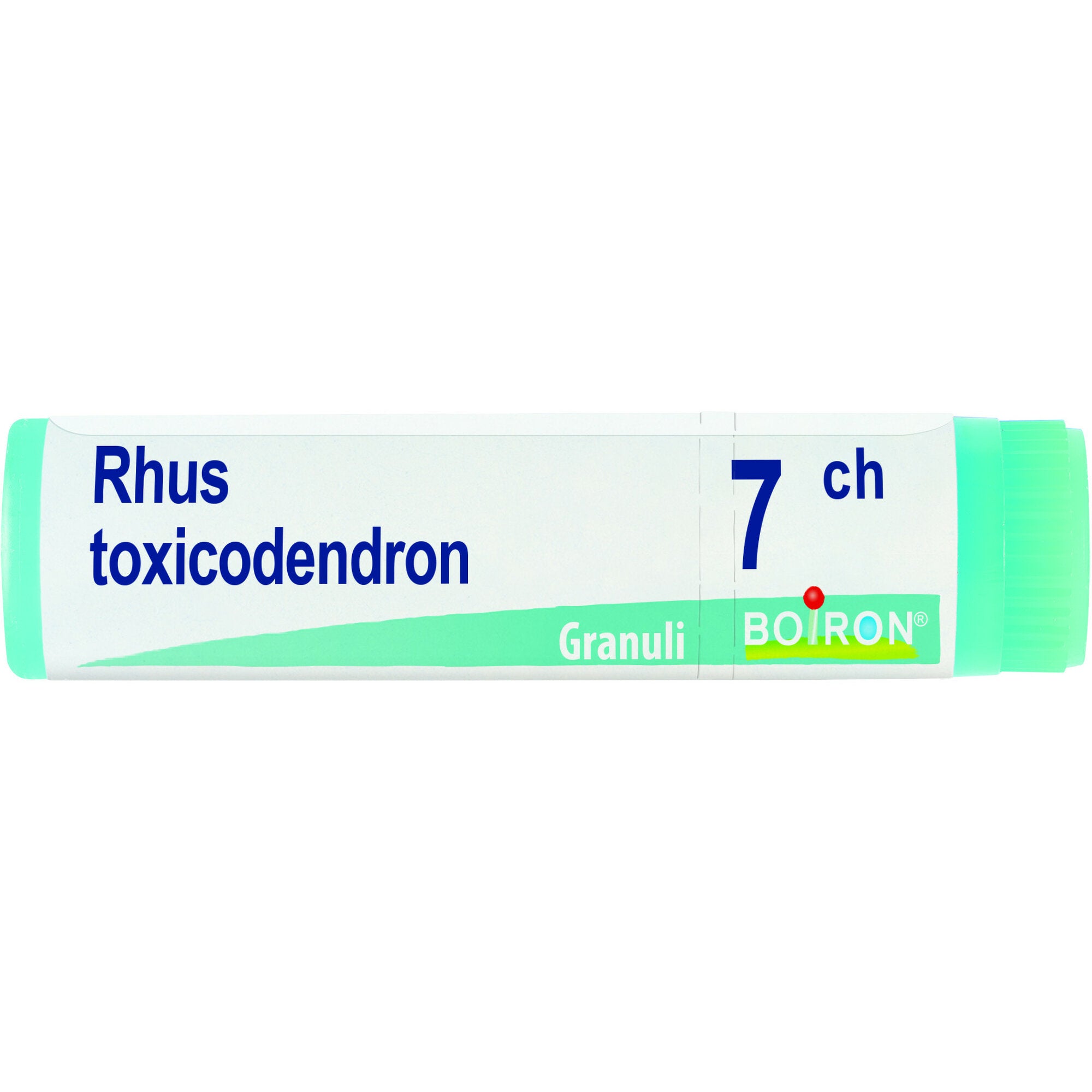Boiron Rhus Toxicodendron Globuli 07Ch Dose 1g-2