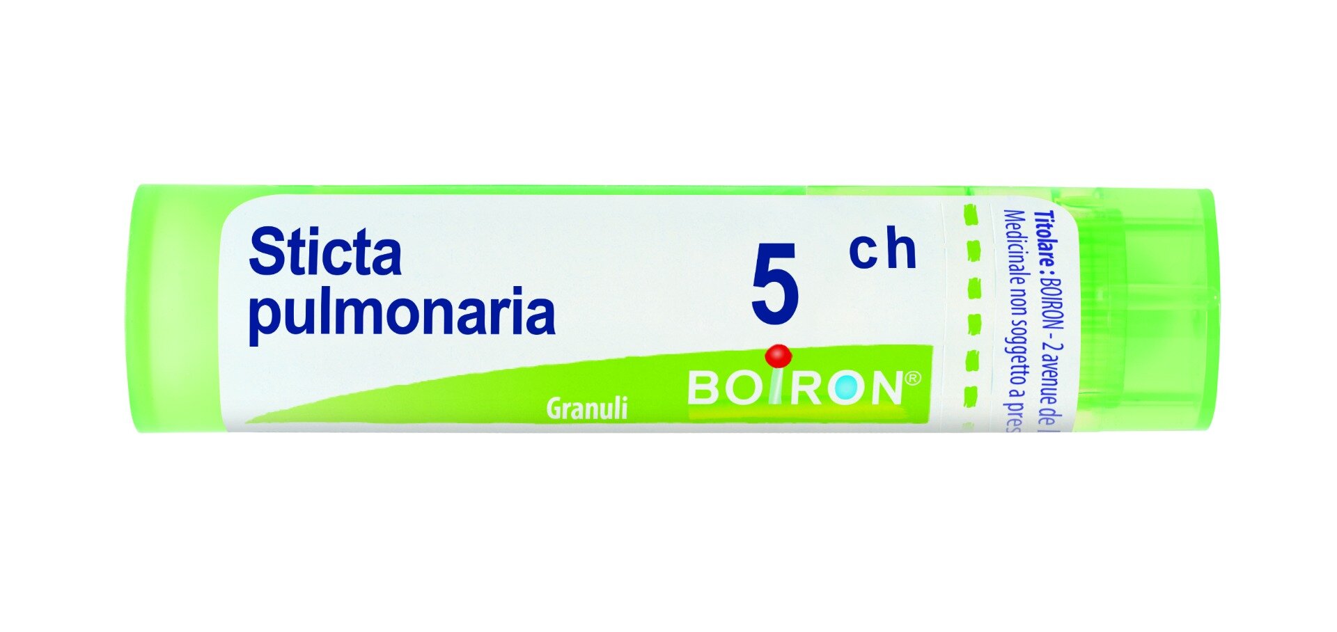 Boiron Sticta Pulmonaria 5Ch Tubo g-1