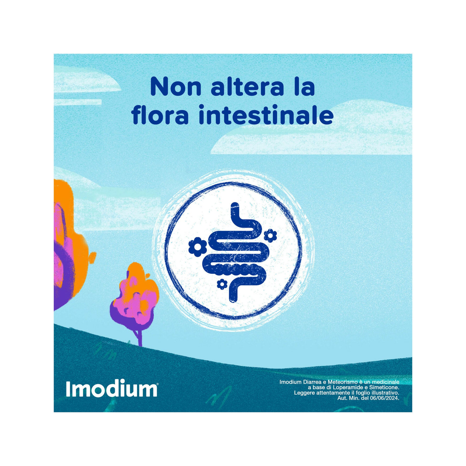 Imodium Diarrea e Meteorismo 12 Compresse-5