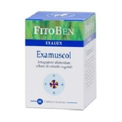 EXAMUSCOL 60CPS-2
