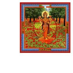DURGA MA GOCCE 30ML-2