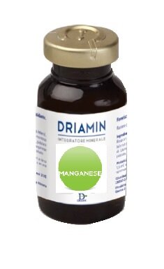 DRIAMIN MANGANESE 15ML-2