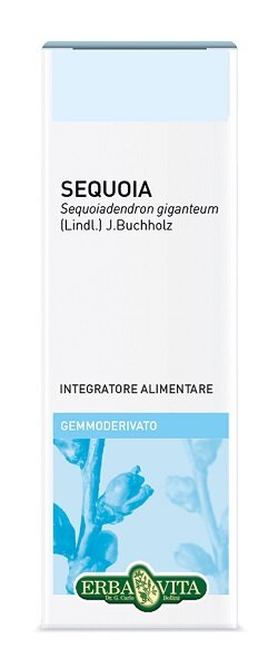 GEMMODERIVATO SEQUOIA 50ML-1