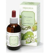 GINKGO BILOBA FOGLIE EI 50ML-2