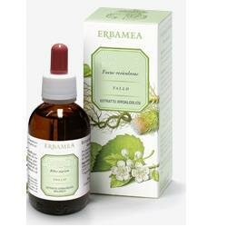 GINKGO BILOBA FOGLIE EI 50ML-2