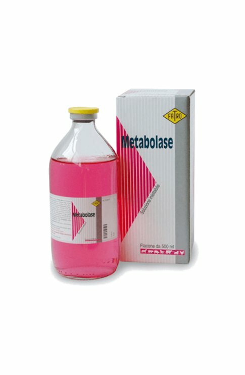 Metabolase Soluzione Iniettabile 500ml-1