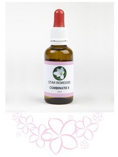 COMBINAZIONE 4 23,67G-2