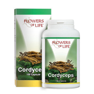 CORDYCEPS 100CPS FLOWERS OF LI-1