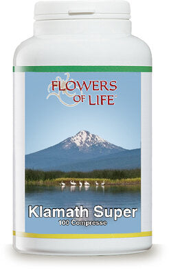 KLAMATH SUPER 100CPR FLOWERS-2