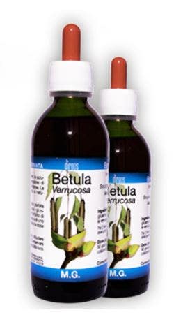 BETULA VERRUCOSA 50ML MG-1