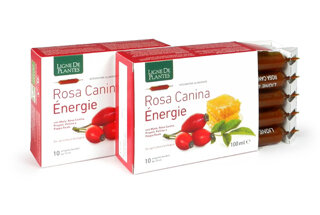 Rosa Canina Energy integratore alimentare utile come antiossidante 10 ampolle-2