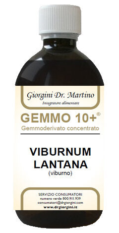 VIBURNO LIQ ANALCOLICO 500ML-2