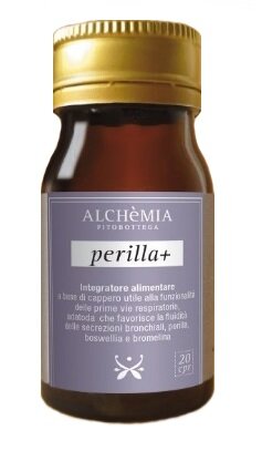 PERILLA+ 20CPR-2