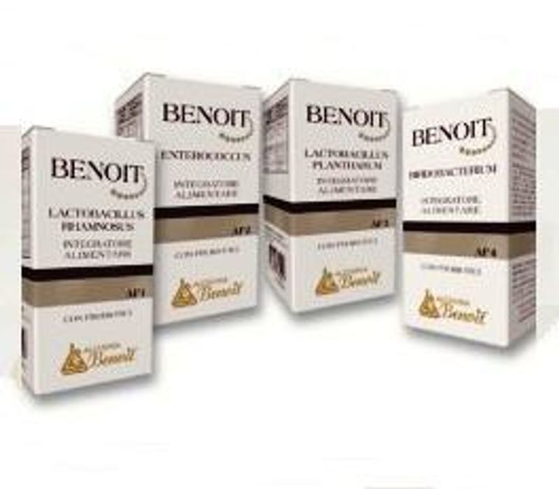 Bifidobacterium con probiotici AF4-1