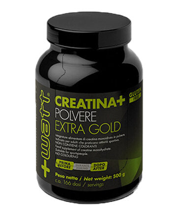 CREATINA+ EXTRAGOLD 500G-1