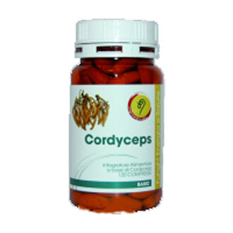 CORDYCEPS LINEA BASIC 120CPR-2