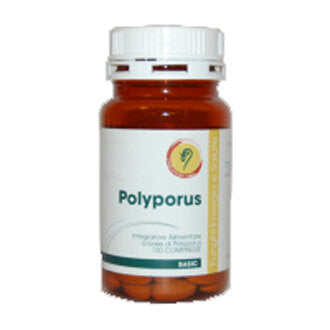 POLYPORUS LINEA BASIC 120CPR-2
