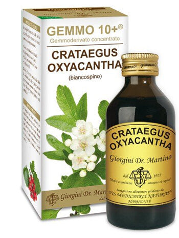 Dr. Giorgini Gemmo 10+ Crataegus Oxyacantha (biancospino) 100 ml-2