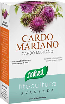 CARDO MARIANO 40CPS-1