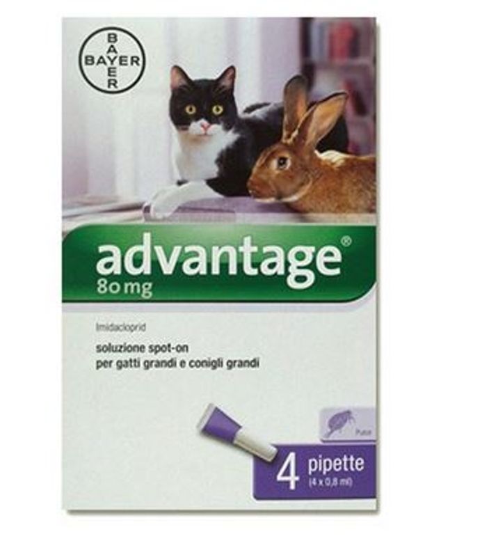 Advantage 80mg soluzione spot-on per gatti grandi e conigli grandi 4 pipette (4 x 0,8ml)-1