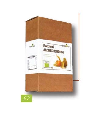 BACCHE DI ALCHECHENGI BIO 200G-1