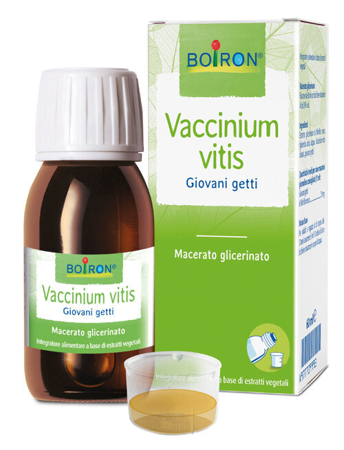 Vaccinium Vitis 60ml-2