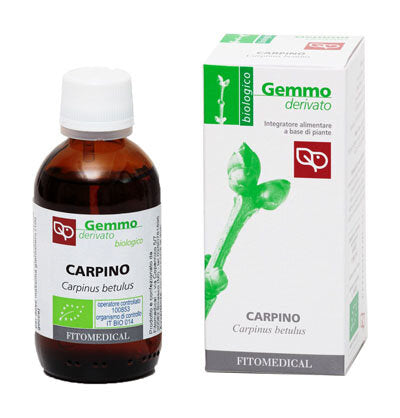 Carpino Gemmoderivato Bio 50ml-2