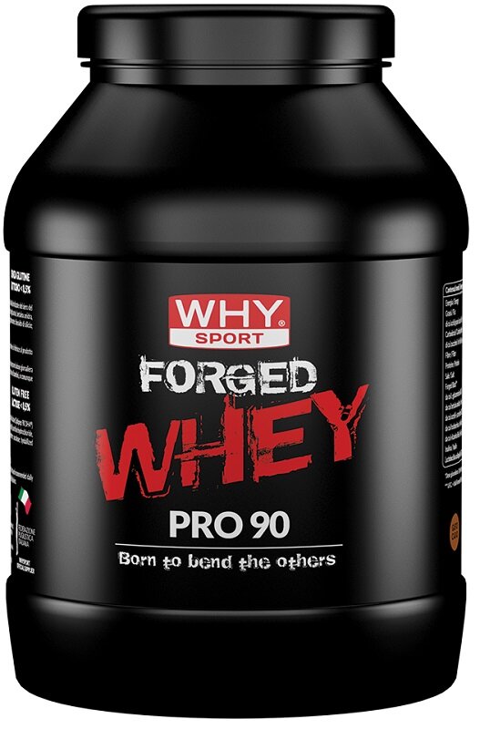 WHYSPORT FORGED WHEY CACAO900G-1