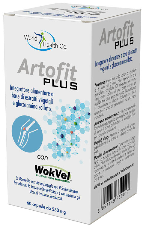 ARTOFIT PLUS 60CPS-2
