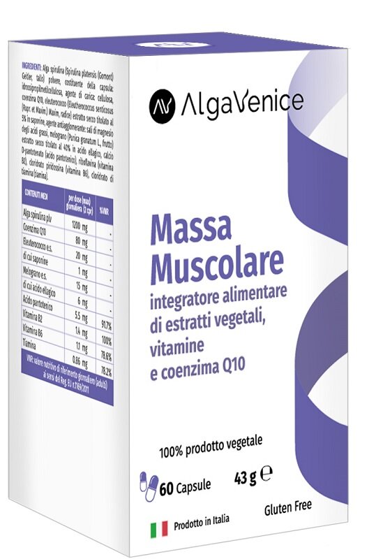 ALGAVENICE MASSA MUSC 60CPS-2