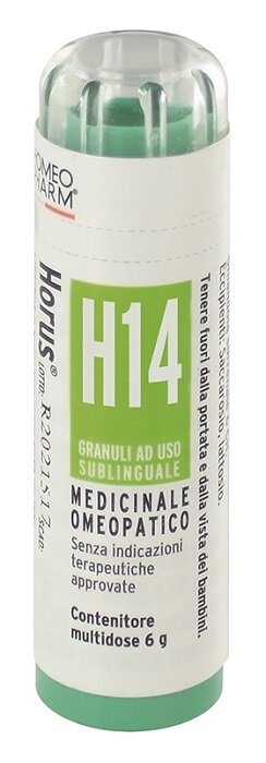 HORUS H14 GR-2