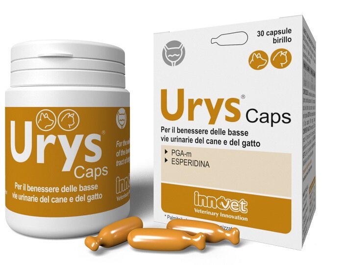 Urys Caps per il benessere delle vie urinarie di cane e gatto 30 capsule birillo-2