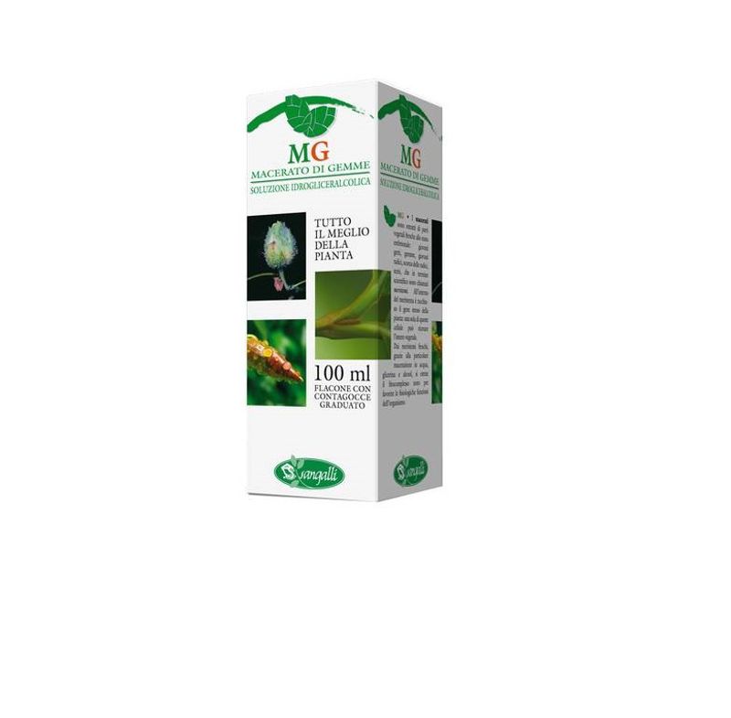 Sangalli Macerato di Gemme Betulla Amenti 100ml-0