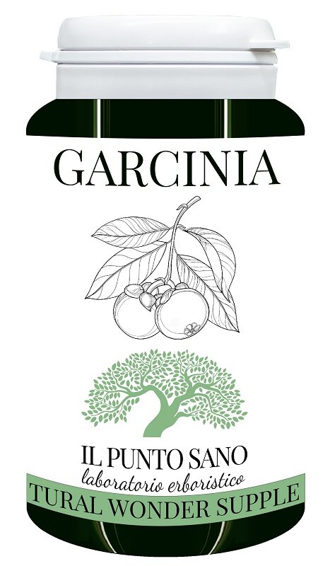 GARCINIA 90CPS-2