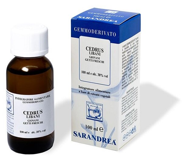 EXTRAGEM CEDRO LIBANO GIOVANI-2