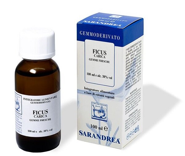 EXTRAGEM FICO GEMME 20ML-2