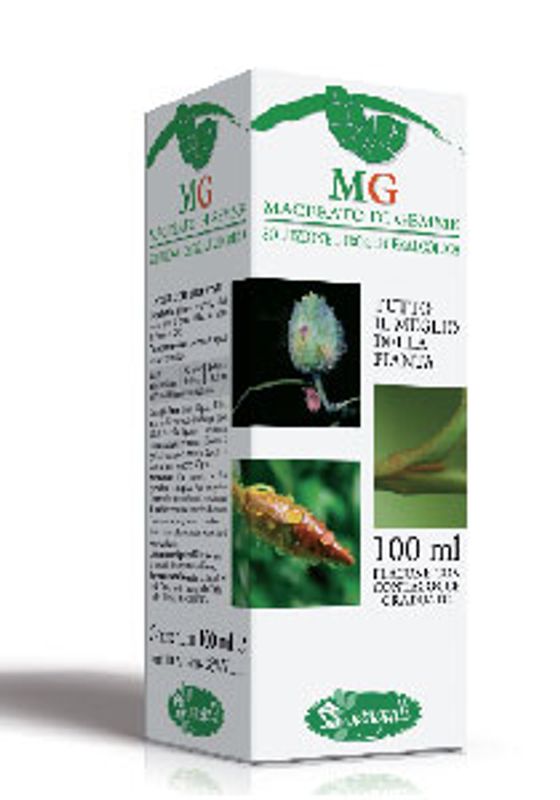 Sangalli Ribes Nero (Ribes NIgrum) stati infiammatori e turbe allergiche 100 ml-1