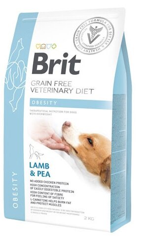 BVD DOG OBESITY 12KG-2